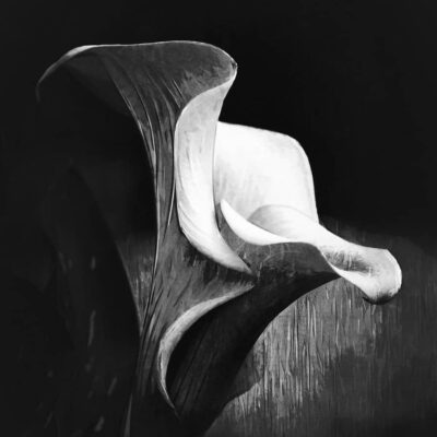Jean-Paul CLARRET