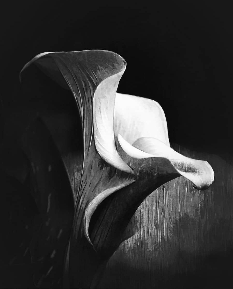 Jean-Paul CLARRET