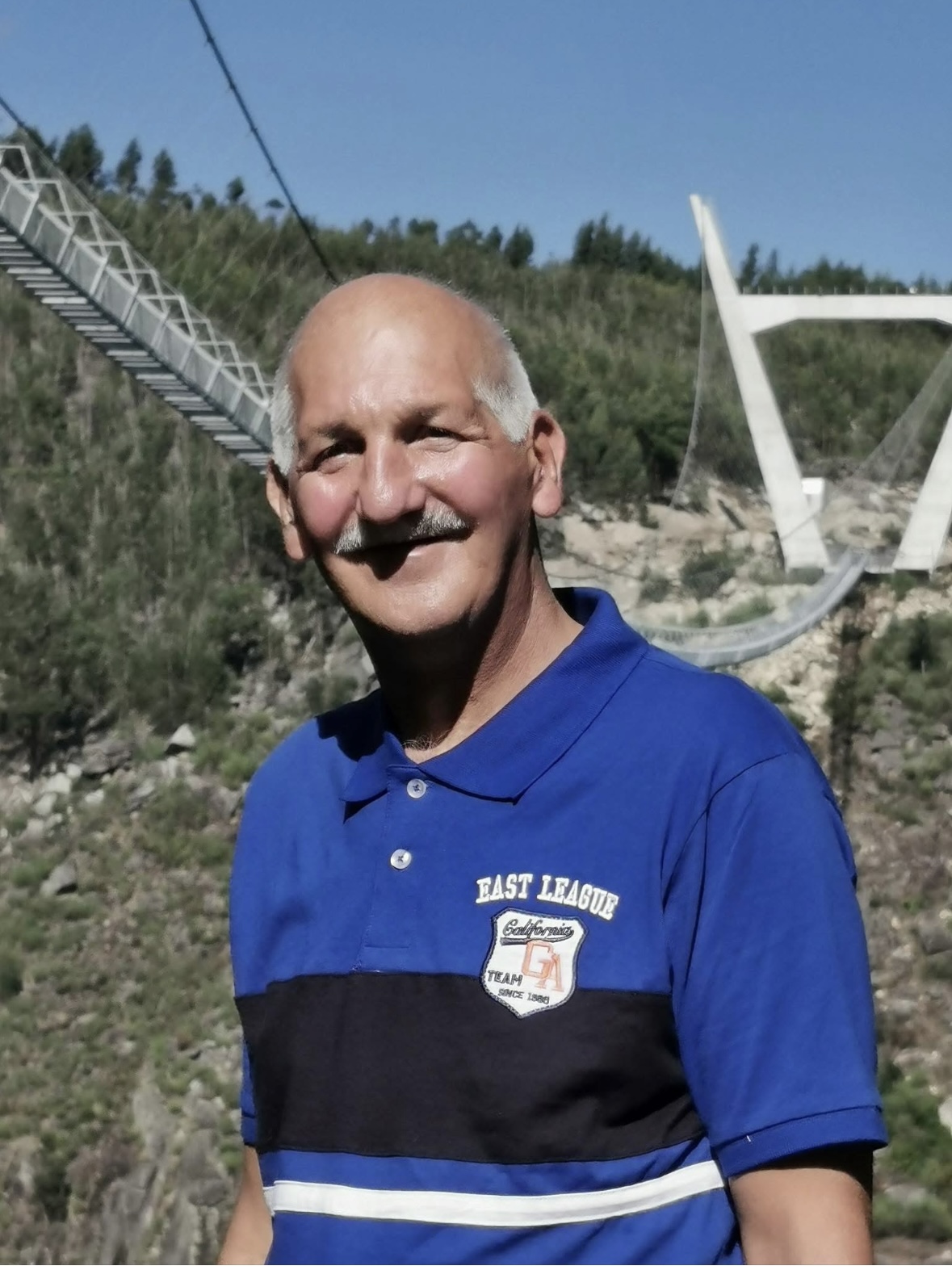 Dominique VENON